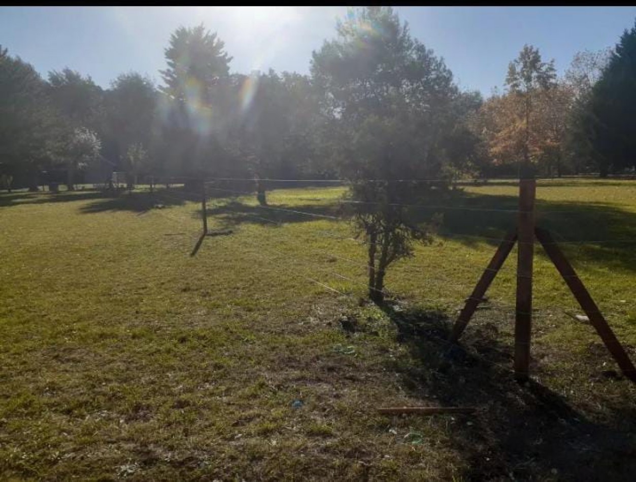 Lote 2500M2 Pinares de Santa Clara