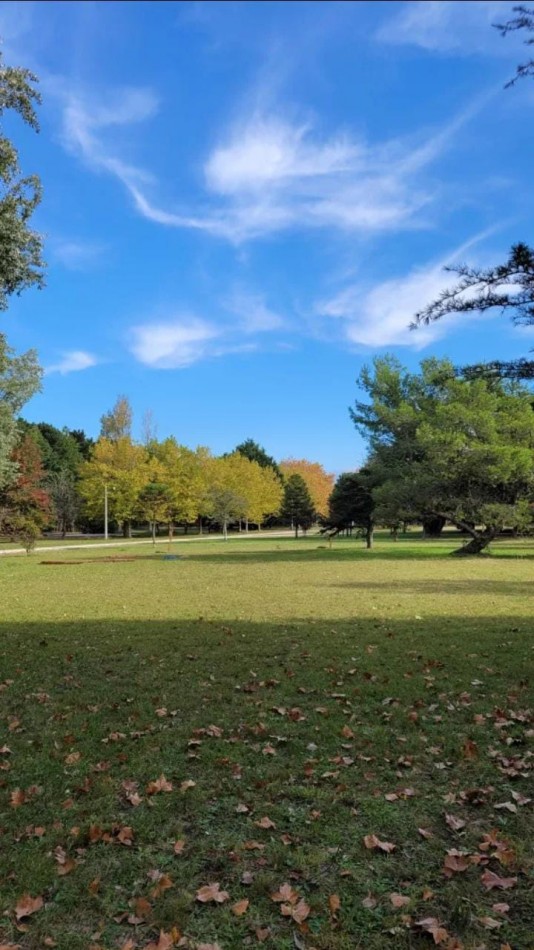 Lote 2500M2 Pinares de Santa Clara