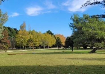 Lote 2500M2 Pinares de Santa Clara